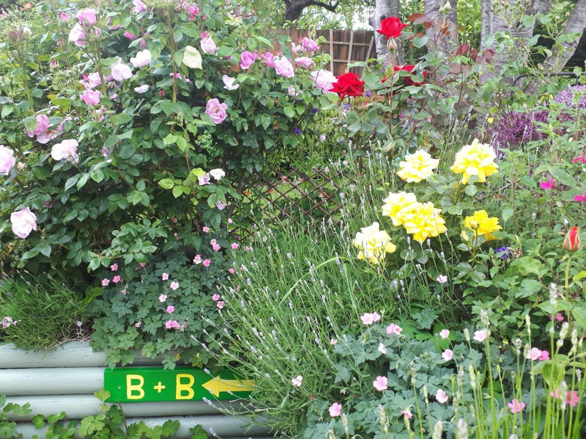 Santi Bhavana Bed & Breakfast Westbury  Εξωτερικό φωτογραφία